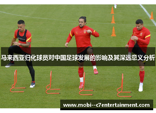 马来西亚归化球员对中国足球发展的影响及其深远意义分析