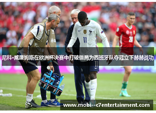 尼科·威廉姆斯在欧洲杯决赛中打破僵局为西班牙队夺冠立下赫赫战功