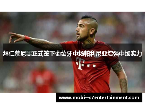 拜仁慕尼黑正式签下葡萄牙中场帕利尼亚增强中场实力
