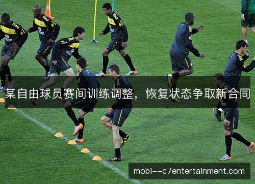 某自由球员赛间训练调整,恢复状态争取新合同 某自由球员赛间训练调整,恢复状态争取新合同